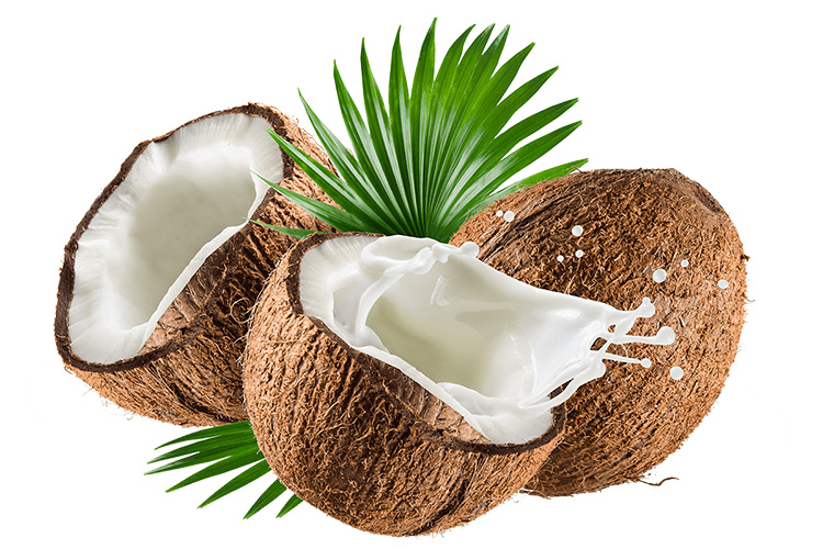 Tự công bố hương dừa (Coconut flavour) nhập khẩu mới nhất