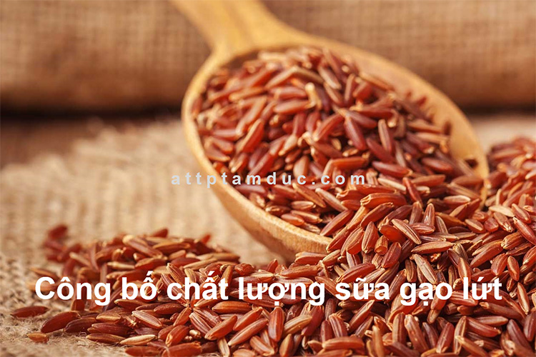 cong-bo-chat-luong-sua-gao-lut